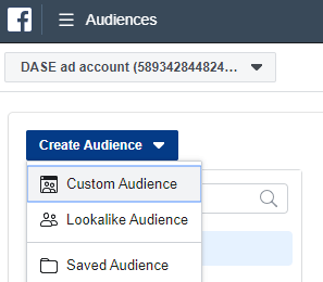 Facebook Business Manager - Custom Audience