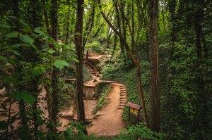 Haluzice, Hike the World, Slovakia